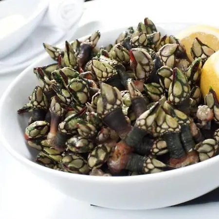 Azinhança Do Mar Lourinhã