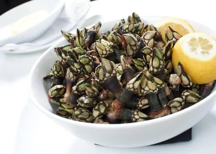 Azinhança Do Mar Lourinhã